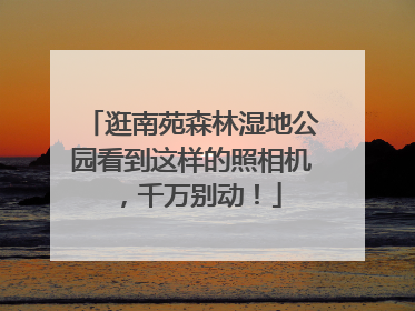 逛南苑森林湿地公园看到这样的照相机，千万别动！