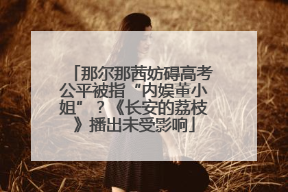那尔那茜妨碍高考公平被指“内娱董小姐”？《长安的荔枝》播出未受影响
