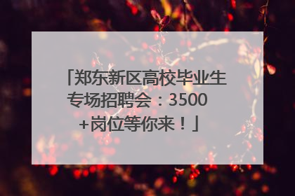 郑东新区高校毕业生专场招聘会：3500+岗位等你来！