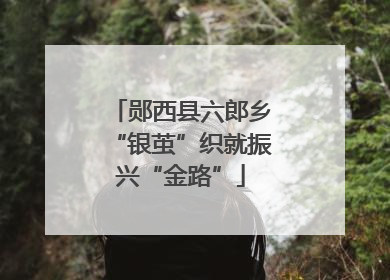 郧西县六郎乡“银茧”织就振兴“金路”