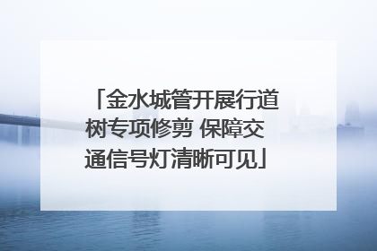 金水城管开展行道树专项修剪 保障交通信号灯清晰可见