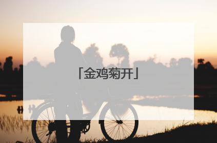 金鸡菊开
