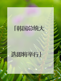 韩国总统大选即将举行