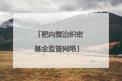 靶向整治织密基金监管网络