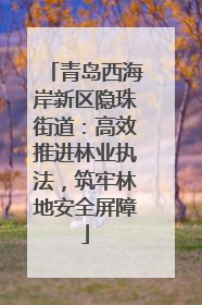 青岛西海岸新区隐珠街道：高效推进林业执法，筑牢林地安全屏障