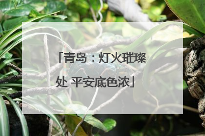 青岛：灯火璀璨处 平安底色浓