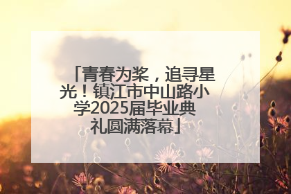 青春为桨，追寻星光！镇江市中山路小学2025届毕业典礼圆满落幕