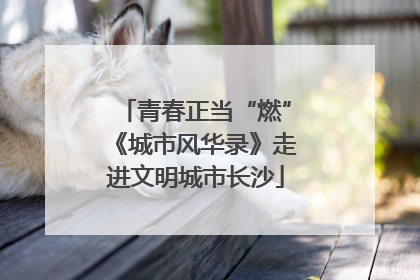 青春正当“燃”《城市风华录》走进文明城市长沙