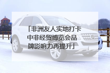 非洲友人实地打卡 中非经贸博览会品牌影响力再提升