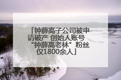 钟薛高子公司被申请破产 创始人账号“钟薛高老林”粉丝仅1800余人