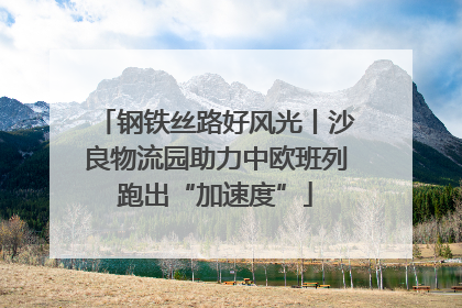 钢铁丝路好风光丨沙良物流园助力中欧班列跑出“加速度”