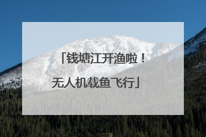 钱塘江开渔啦！无人机载鱼飞行