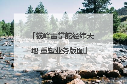 钱峰雷掌舵经纬天地 重塑业务版图