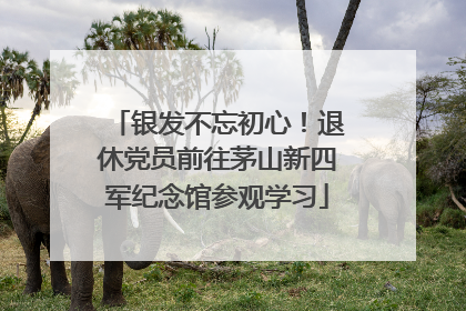 银发不忘初心！退休党员前往茅山新四军纪念馆参观学习