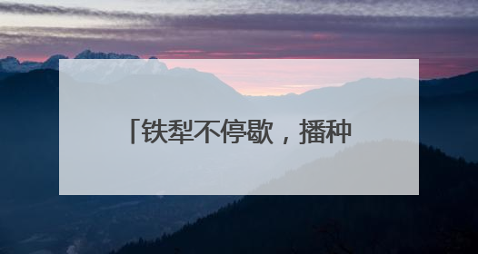 铁犁不停歇，播种新希望——山东“三夏”抢收抢种忙