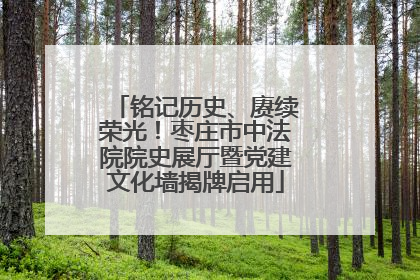 铭记历史、赓续荣光！枣庄市中法院院史展厅暨党建文化墙揭牌启用