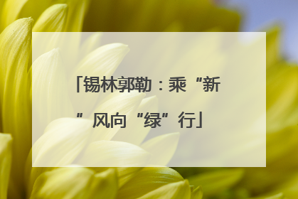 锡林郭勒：乘“新”风向“绿”行