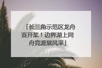 长三角示范区龙舟赛开桨！边界湖上同舟竞渡展风采