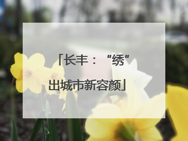 长丰：“绣”出城市新容颜