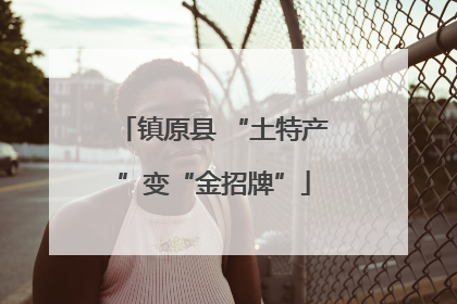 镇原县 “土特产”变“金招牌”
