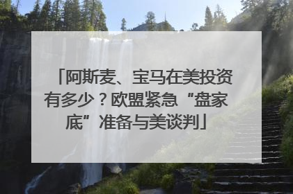 阿斯麦、宝马在美投资有多少？欧盟紧急“盘家底”准备与美谈判
