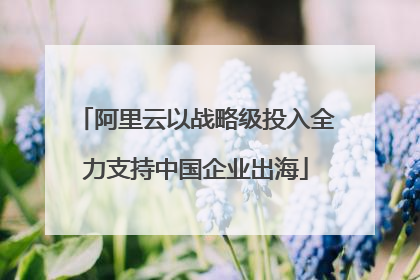 阿里云以战略级投入全力支持中国企业出海