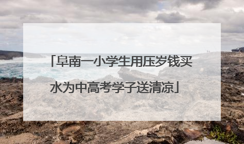 阜南一小学生用压岁钱买水为中高考学子送清凉