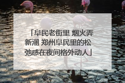 阜民老街里 烟火弄新潮 郑州阜民里的松弛感在夜间格外动人