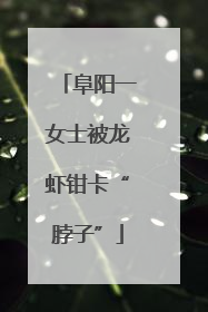 阜阳一女士被龙虾钳卡“脖子”