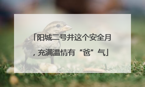 阳城二号井这个安全月，充满温情有“爸”气
