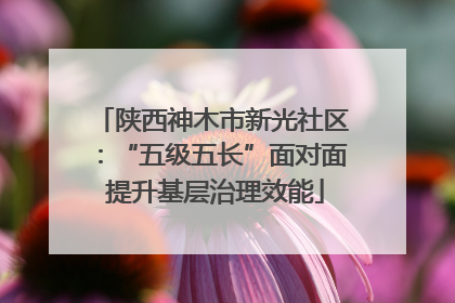陕西神木市新光社区：“五级五长”面对面 提升基层治理效能