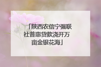 陕西农信宁强联社普惠贷款浇开万亩金银花海