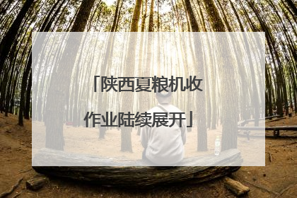 陕西夏粮机收作业陆续展开