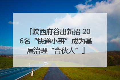 陕西府谷出新招 206名“快递小哥”成为基层治理“合伙人”