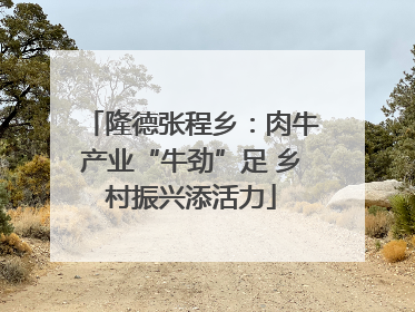 隆德张程乡：肉牛产业“牛劲”足 乡村振兴添活力