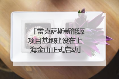 雷克萨斯新能源项目基地建设在上海金山正式启动