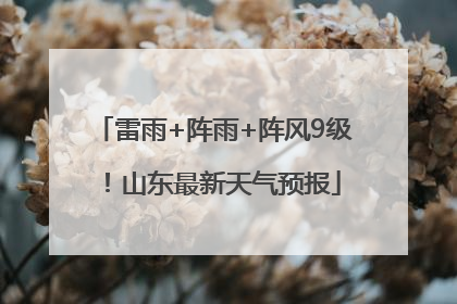 雷雨+阵雨+阵风9级！山东最新天气预报