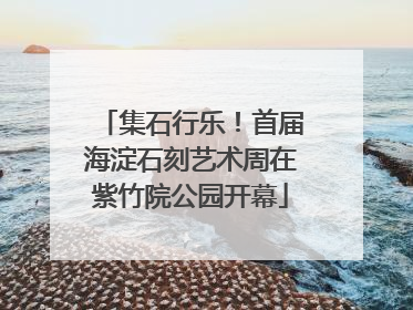 集石行乐！首届海淀石刻艺术周在紫竹院公园开幕