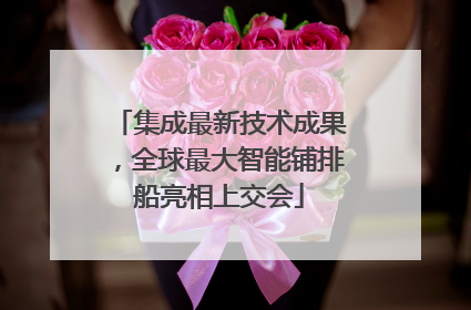 集成最新技术成果，全球最大智能铺排船亮相上交会