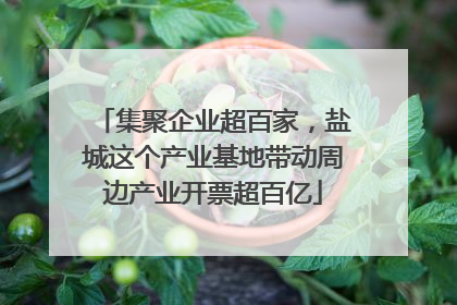 集聚企业超百家，盐城这个产业基地带动周边产业开票超百亿