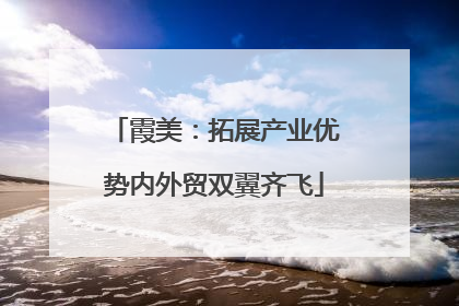 霞美：拓展产业优势内外贸双翼齐飞