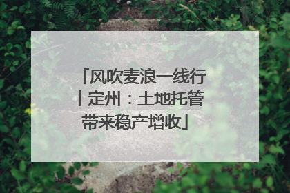 风吹麦浪一线行丨定州：土地托管带来稳产增收