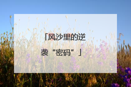 风沙里的逆袭“密码”