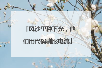 风沙里种下光，他们用代码驯服电流