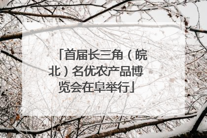 首届长三角（皖北）名优农产品博览会在阜举行