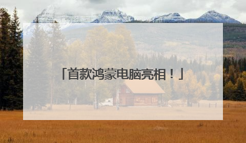 首款鸿蒙电脑亮相！