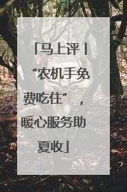 马上评丨“农机手免费吃住”，暖心服务助夏收