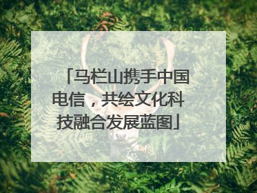 马栏山携手中国电信，共绘文化科技融合发展蓝图
