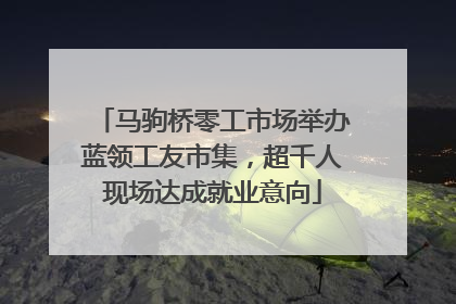马驹桥零工市场举办蓝领工友市集，超千人现场达成就业意向