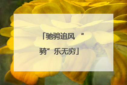 驰骋追风 “骑”乐无穷